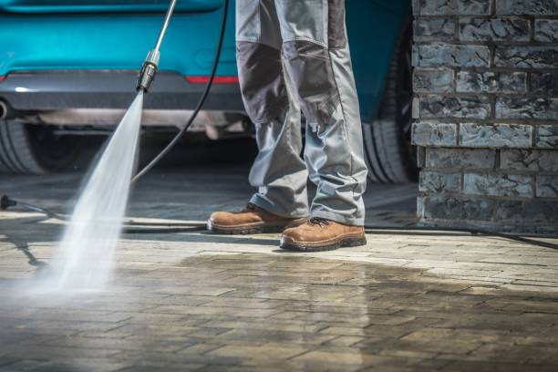 Best Boat and Dock Cleaning  in Mcnary, AZ