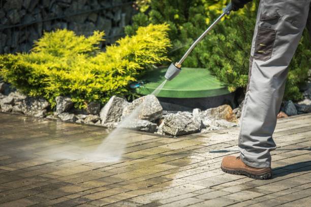 Best Pre-Holiday Cleaning  in Mcnary, AZ