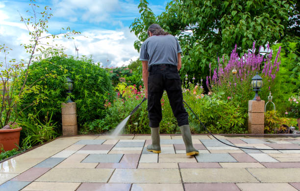 Best Sidewalk and Walkway Cleaning  in Mcnary, AZ